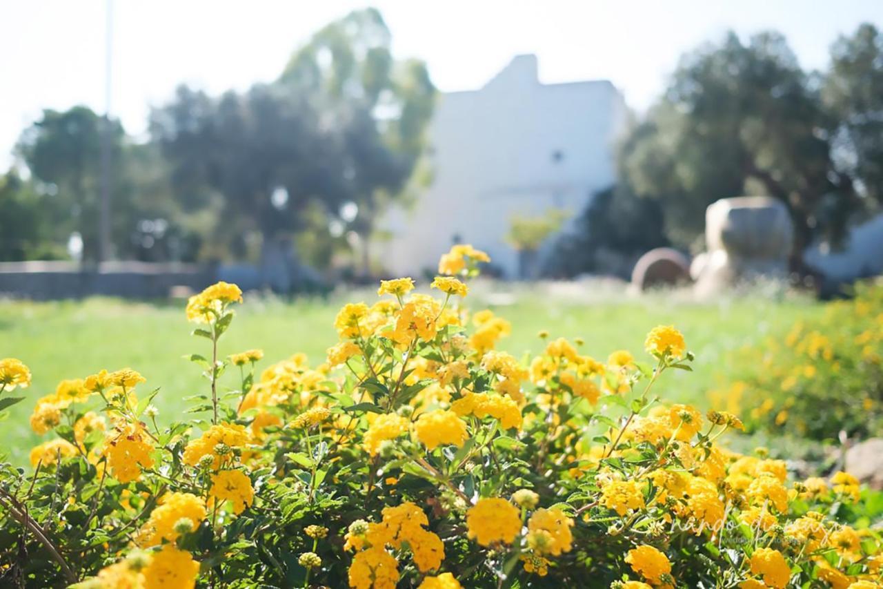 Masseria Giangrande - Rooms And Apartment Polignano a Mare Εξωτερικό φωτογραφία