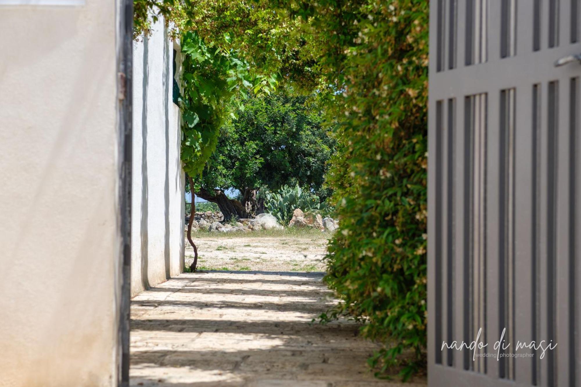 Masseria Giangrande - Rooms And Apartment Polignano a Mare Εξωτερικό φωτογραφία