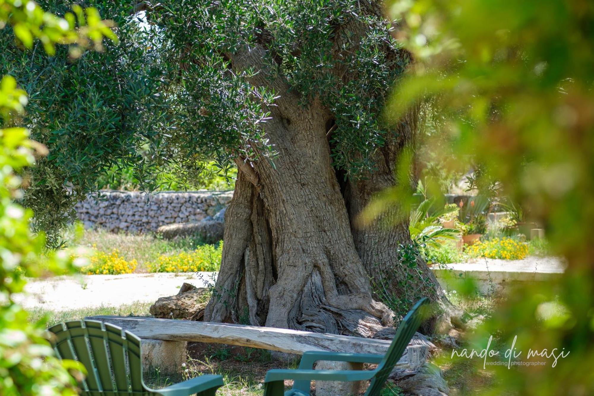 Masseria Giangrande - Rooms And Apartment Polignano a Mare Εξωτερικό φωτογραφία