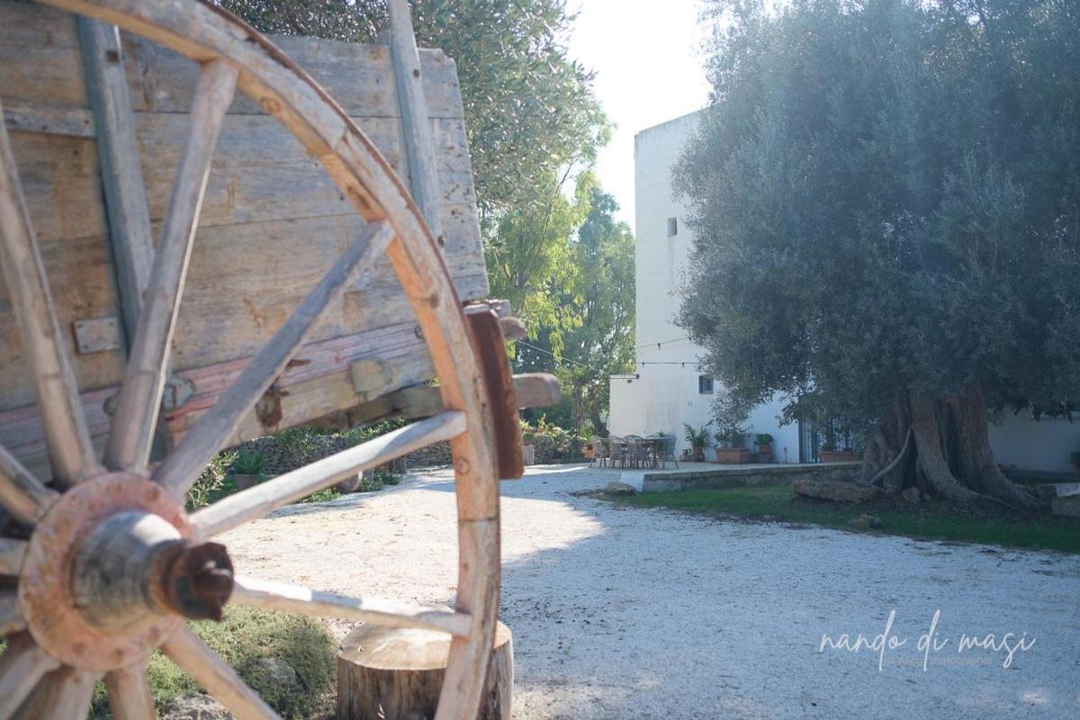Masseria Giangrande - Rooms And Apartment Polignano a Mare Εξωτερικό φωτογραφία